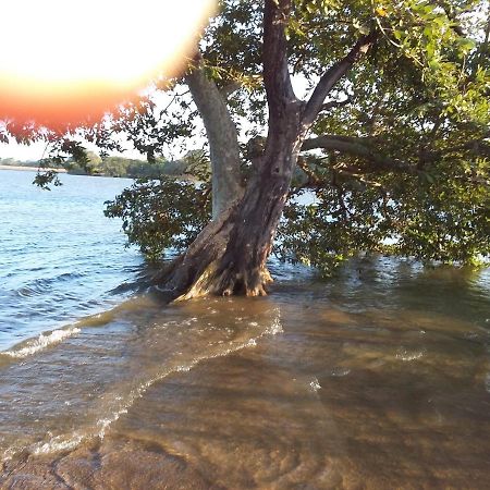Niduwari Lake Homestay Dambulla Luaran gambar