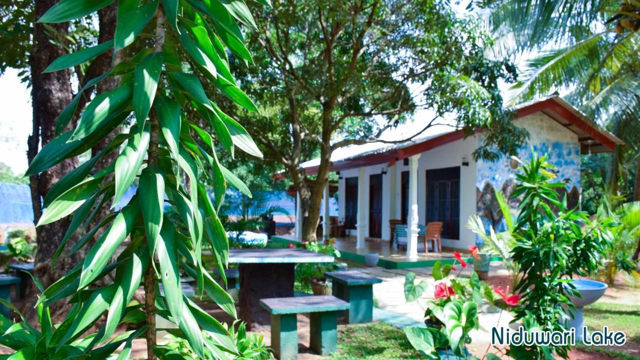 Niduwari Lake Homestay Dambulla Luaran gambar