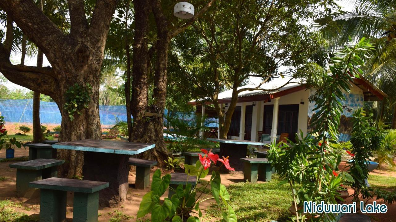 Niduwari Lake Homestay Dambulla Luaran gambar