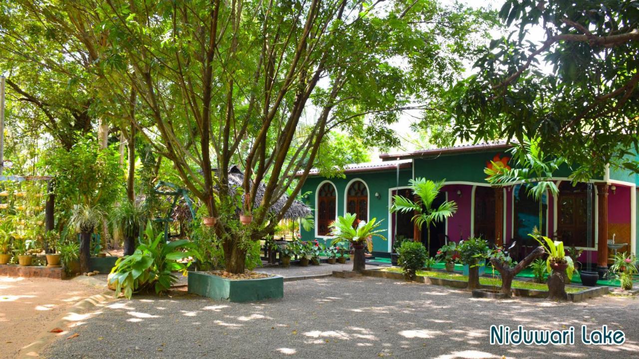 Niduwari Lake Homestay Dambulla Luaran gambar