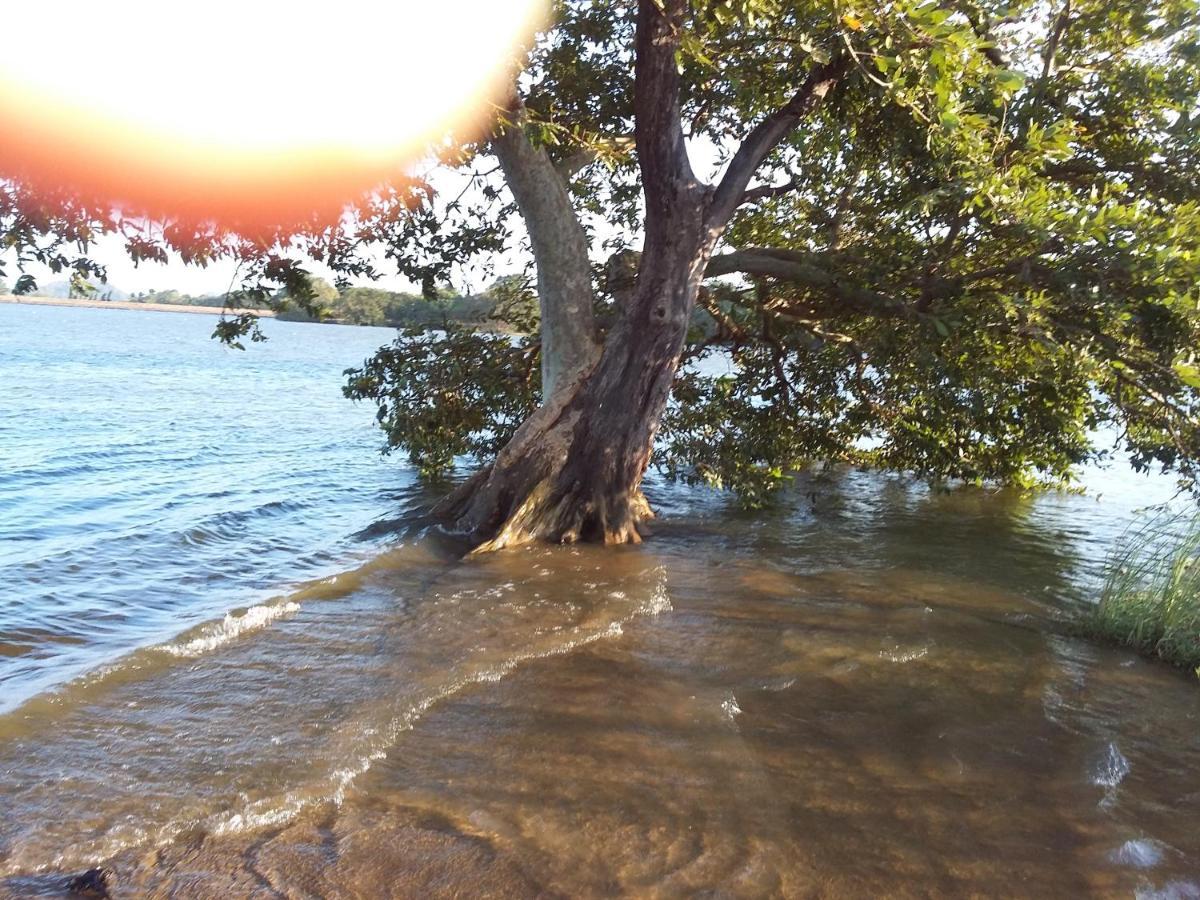 Niduwari Lake Homestay Dambulla Luaran gambar